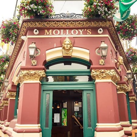 דבלין Molloys Apartments מראה חיצוני תמונה